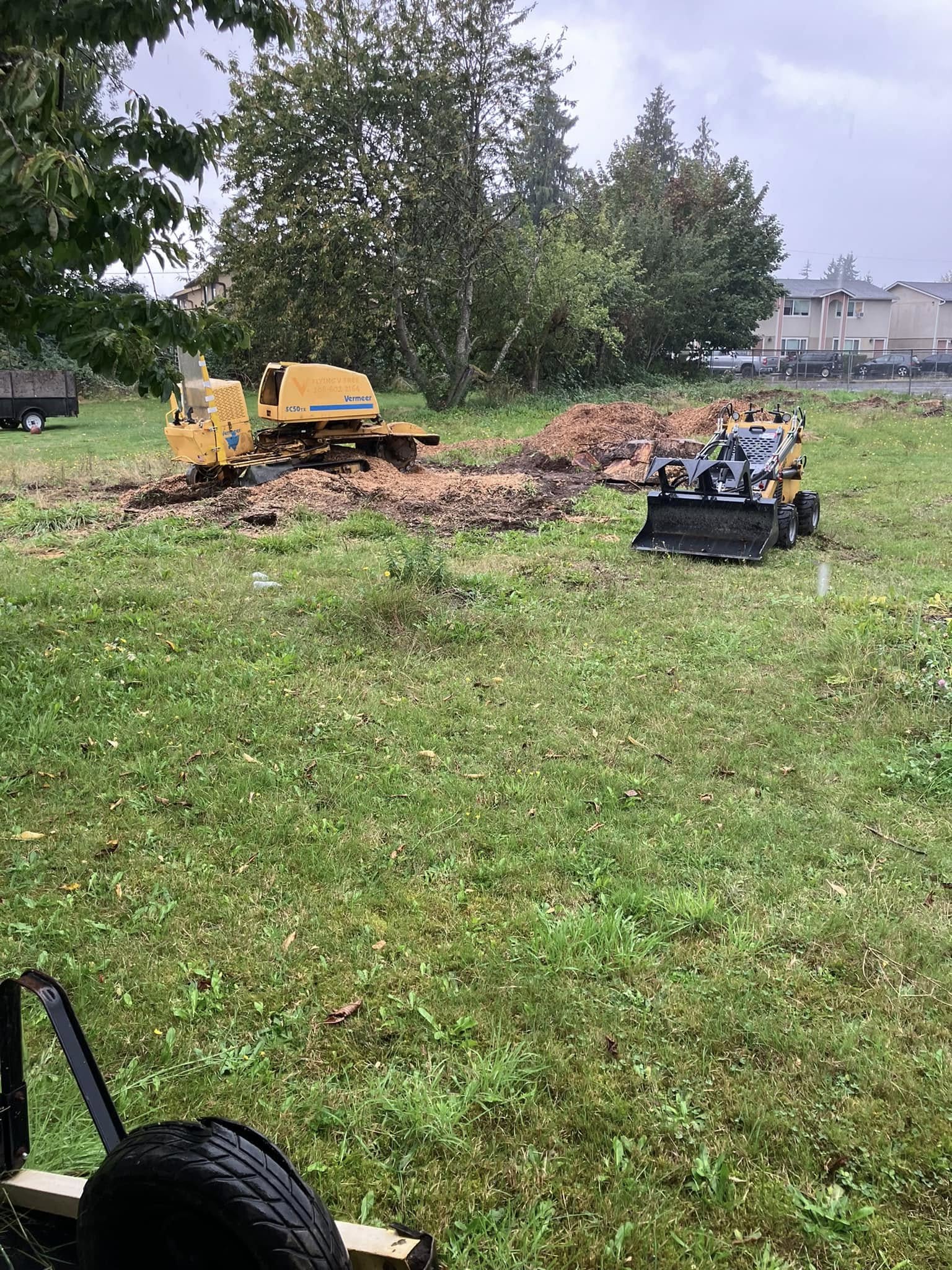 Stump Grinding Service